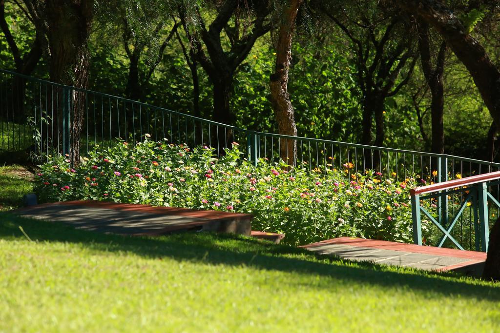 Hotel Los Parrales Tarija Ngoại thất bức ảnh