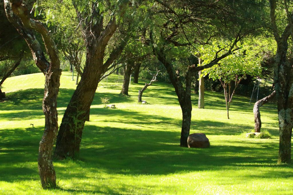 Hotel Los Parrales Tarija Ngoại thất bức ảnh